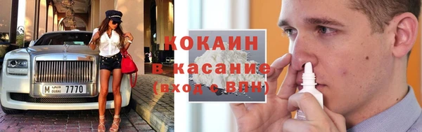 индика Новокубанск