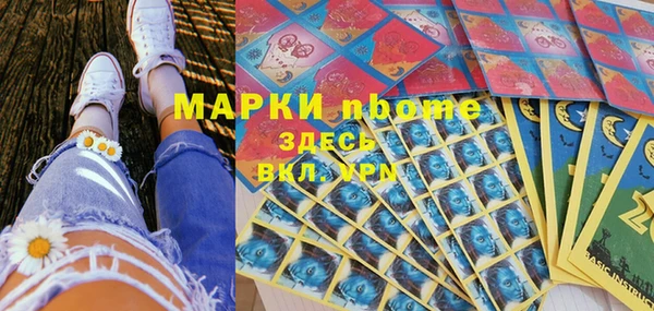 индика Новокубанск