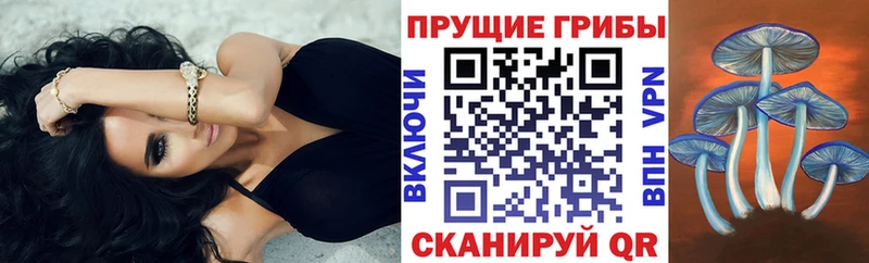 Псилоцибиновые грибы MAGIC MUSHROOMS  Грозный 