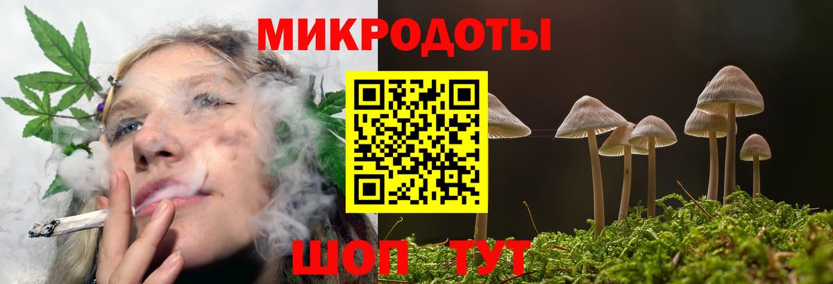 Псилоцибиновые грибы Magic Shrooms  Грозный 