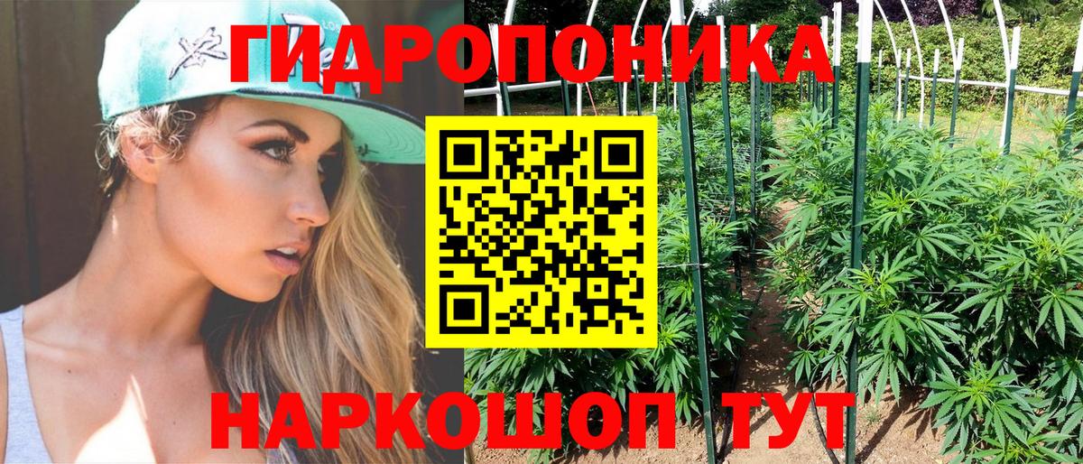 Канабис VHQ  Шишки марихуана SATIVA & INDICA  Канабис Amnesia  Вход с VPN  Конопля ГИДРОПОН  Грозный 